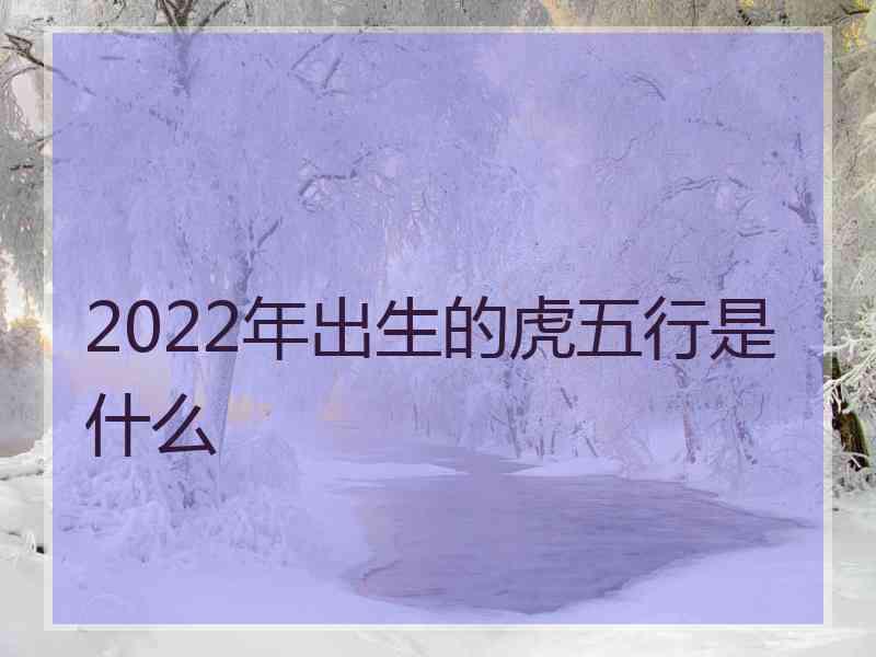 2022年出生的虎五行是什么