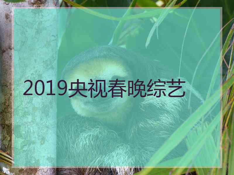 2019央视春晚综艺