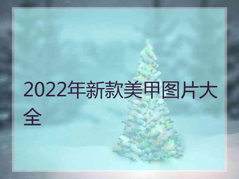 2022年新款美甲图片大全