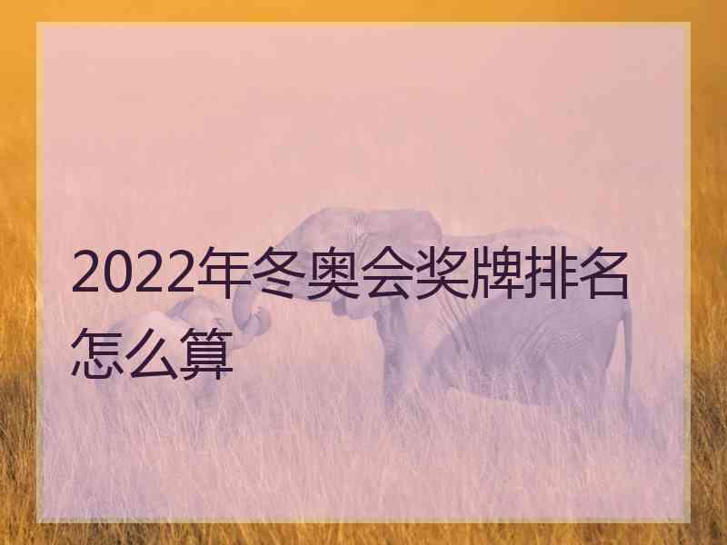 2022年冬奥会奖牌排名怎么算