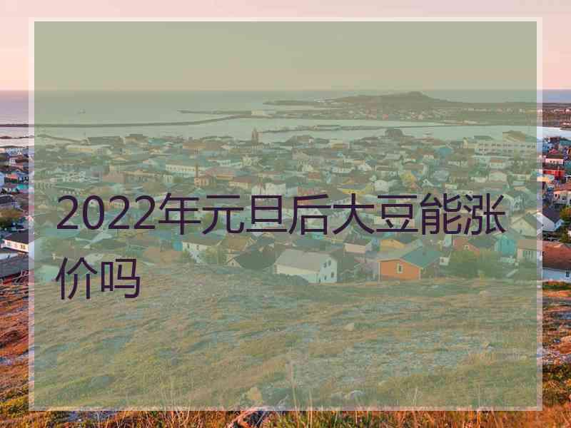 2022年元旦后大豆能涨价吗