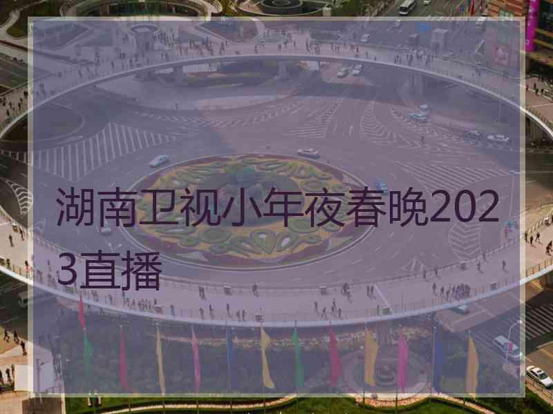 湖南卫视小年夜春晚2023直播