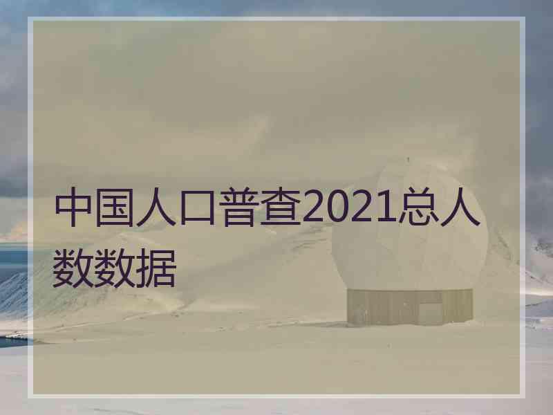 中国人口普查2021总人数数据