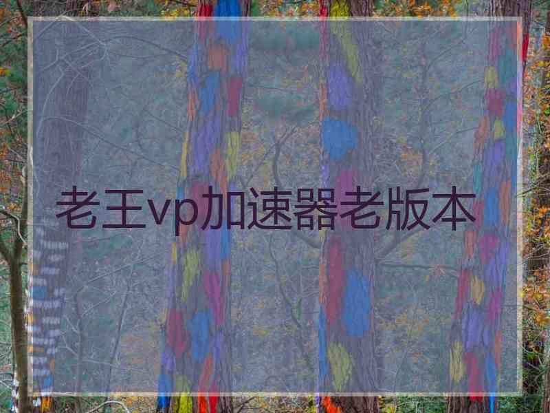 老王vp加速器老版本