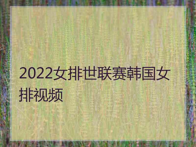 2022女排世联赛韩国女排视频