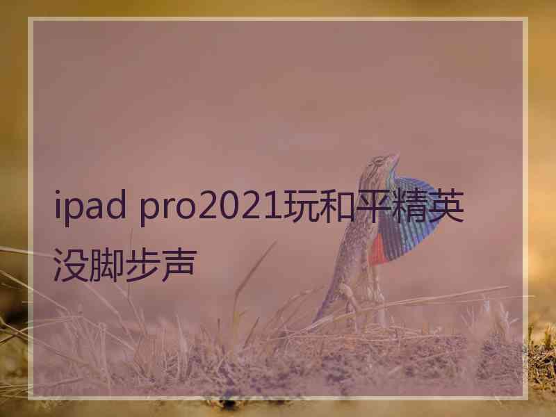 ipad pro2021玩和平精英没脚步声