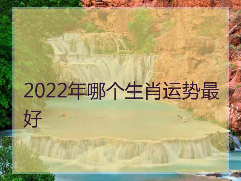 2022年哪个生肖运势最好