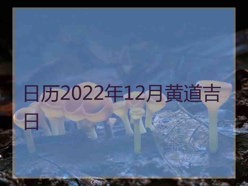 日历2022年12月黄道吉日