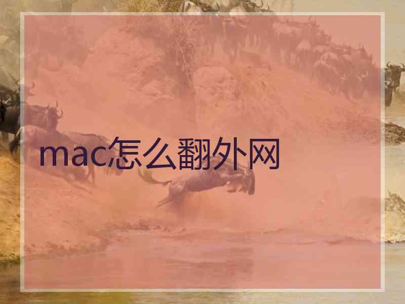 mac怎么翻外网