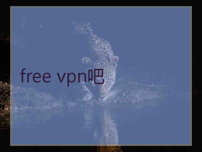 free vpn吧