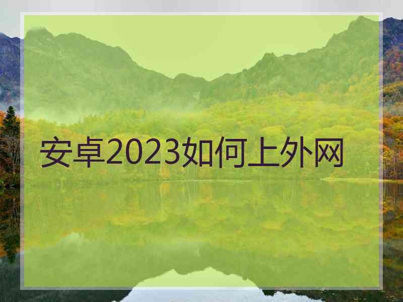 安卓2023如何上外网