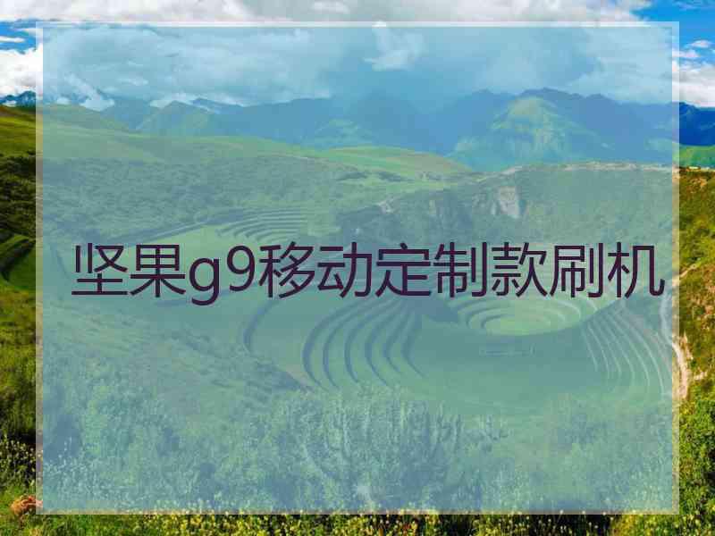 坚果g9移动定制款刷机