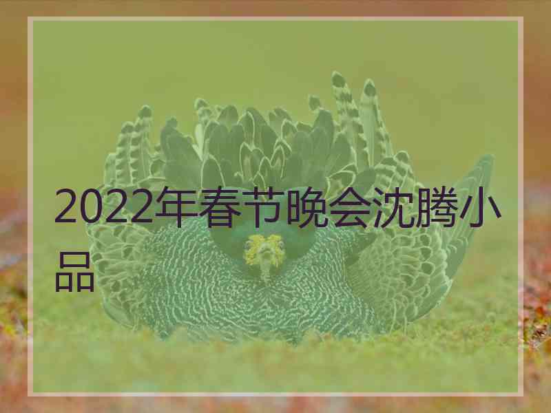 2022年春节晚会沈腾小品