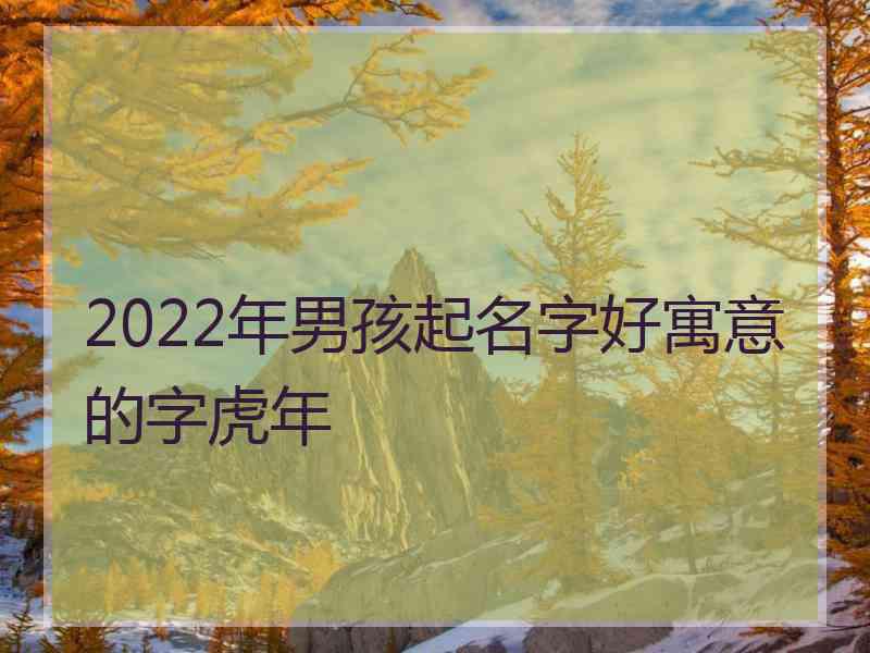 2022年男孩起名字好寓意的字虎年