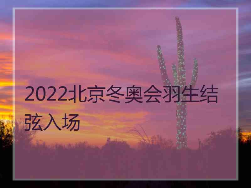 2022北京冬奥会羽生结弦入场