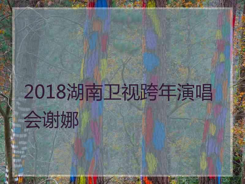 2018湖南卫视跨年演唱会谢娜