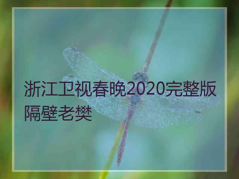 浙江卫视春晚2020完整版隔壁老樊