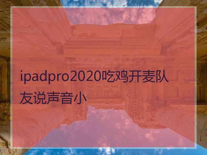 ipadpro2020吃鸡开麦队友说声音小