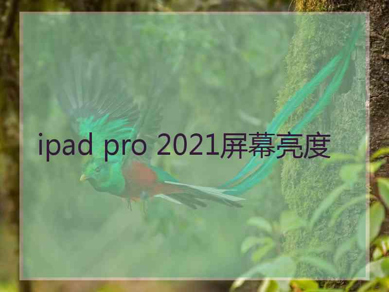 ipad pro 2021屏幕亮度