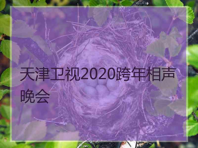 天津卫视2020跨年相声晚会