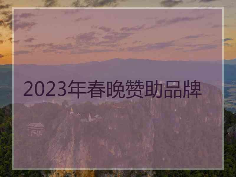 2023年春晚赞助品牌