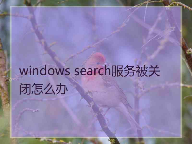 windows search服务被关闭怎么办