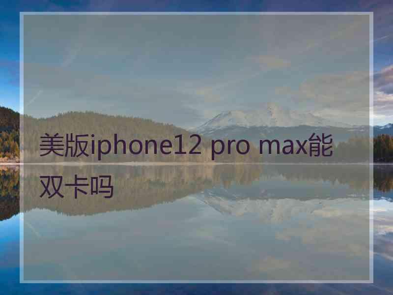 美版iphone12 pro max能双卡吗