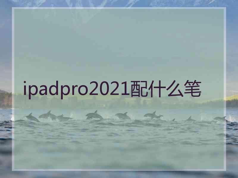 ipadpro2021配什么笔