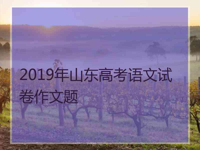 2019年山东高考语文试卷作文题