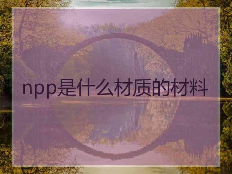 npp是什么材质的材料