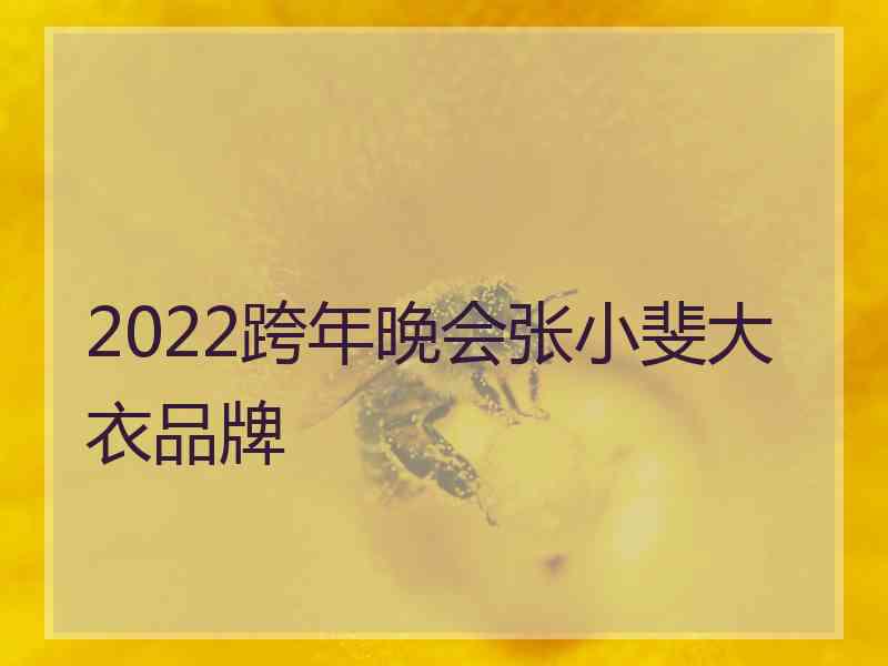 2022跨年晚会张小斐大衣品牌