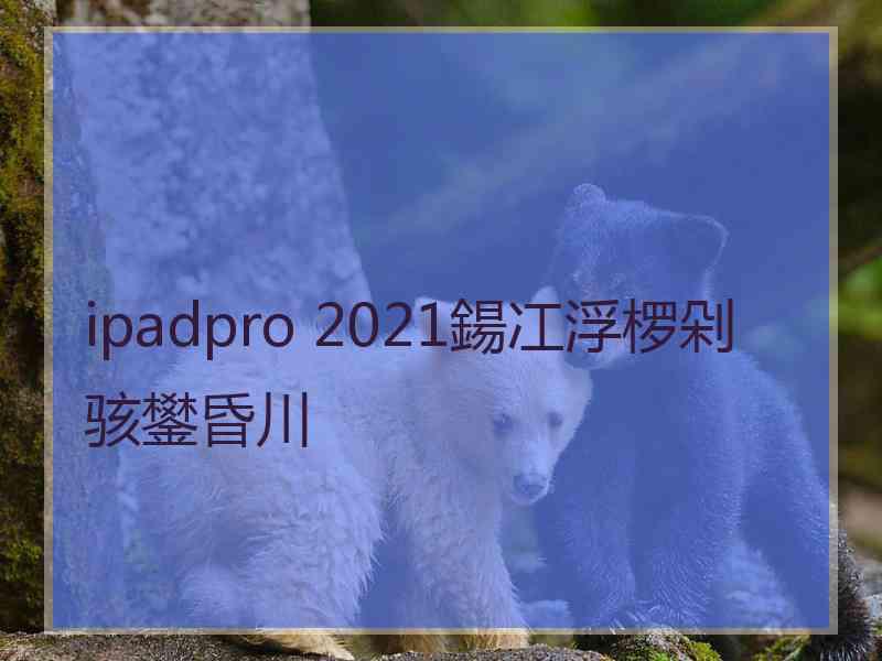 ipadpro 2021鍚冮浮椤剁骇鐢昏川