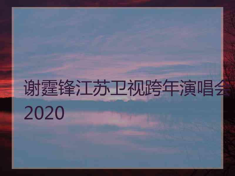 谢霆锋江苏卫视跨年演唱会2020