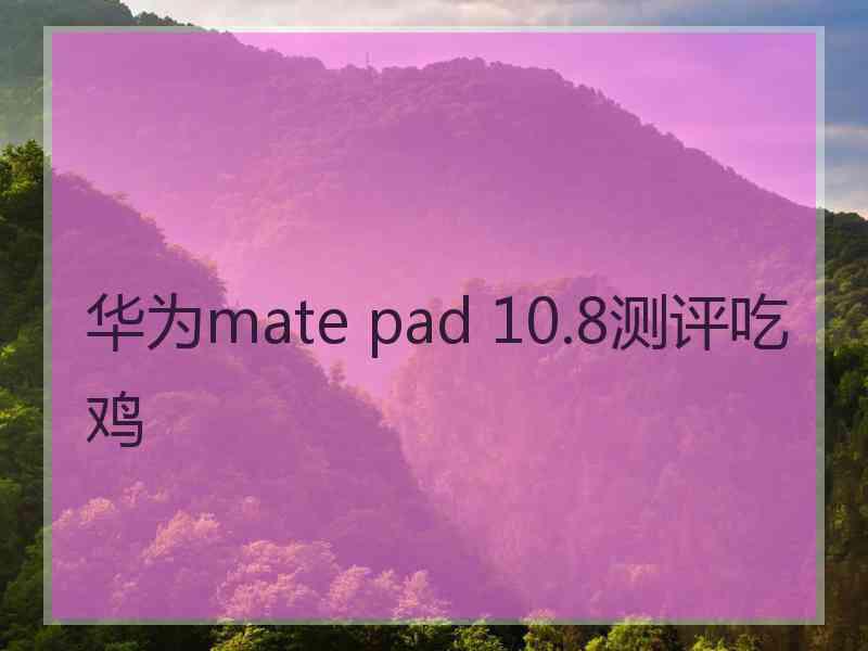 华为mate pad 10.8测评吃鸡