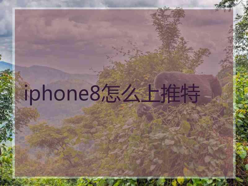 iphone8怎么上推特