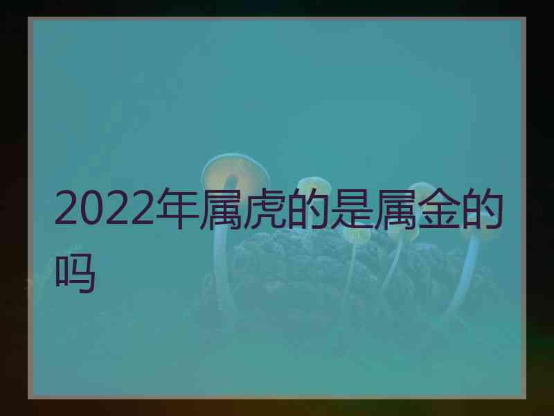 2022年属虎的是属金的吗