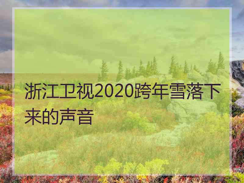 浙江卫视2020跨年雪落下来的声音