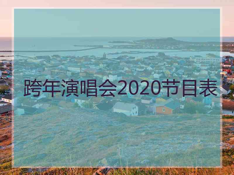 跨年演唱会2020节目表