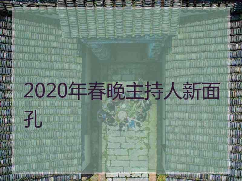 2020年春晚主持人新面孔