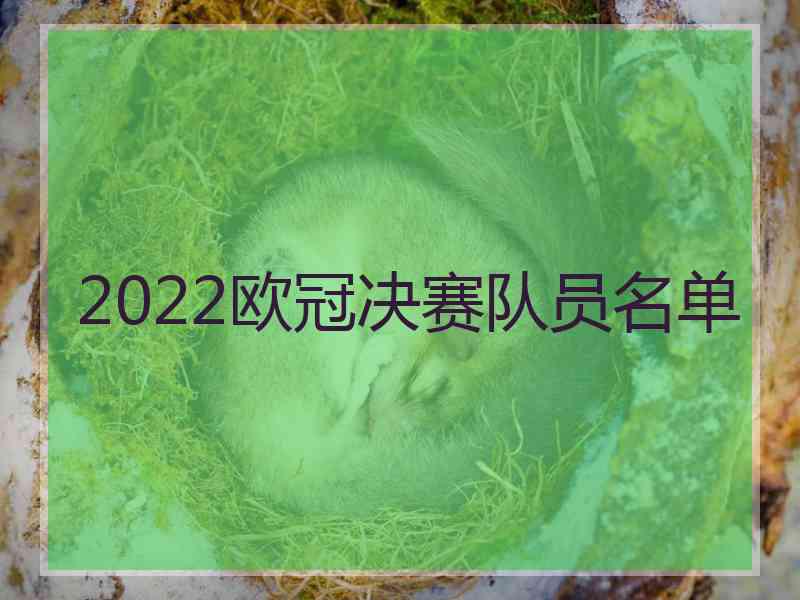 2022欧冠决赛队员名单