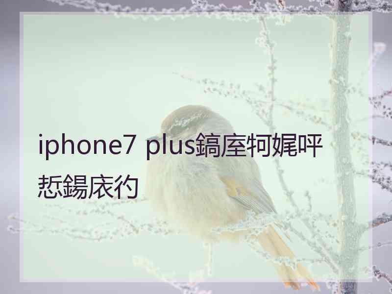 iphone7 plus鎬庢牱娓呯悊鍚庡彴