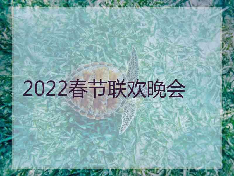 2022春节联欢晚会