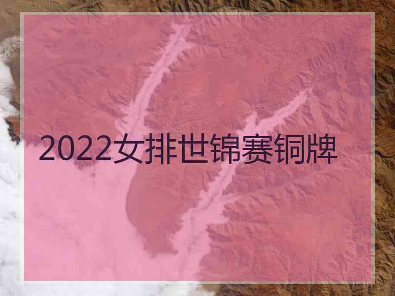 2022女排世锦赛铜牌