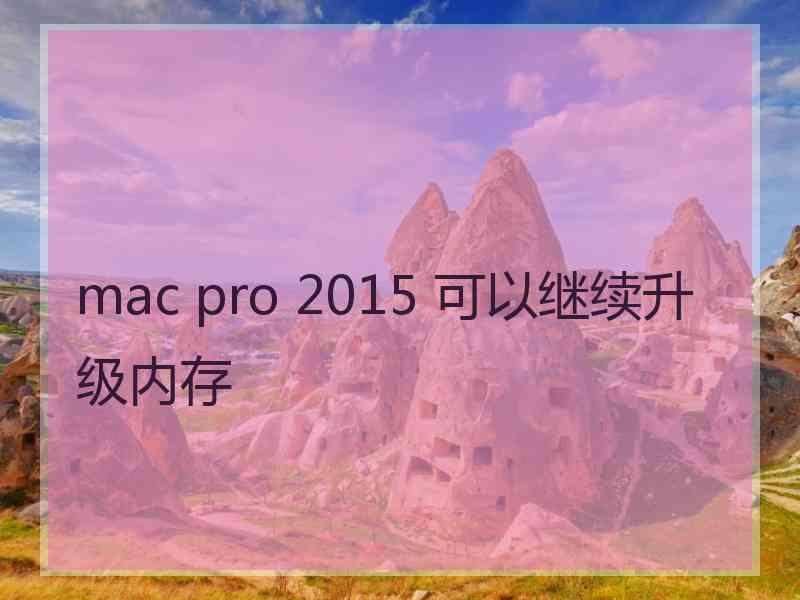 mac pro 2015 可以继续升级内存