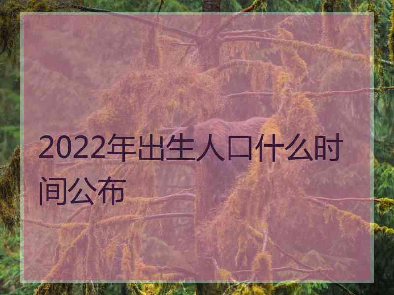 2022年出生人口什么时间公布