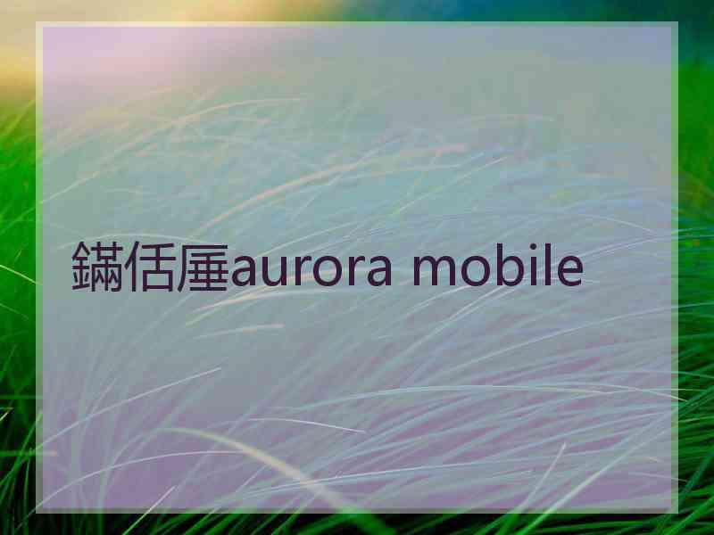 鏋佸厜aurora mobile