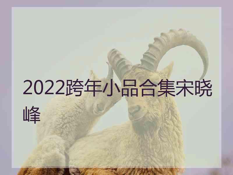 2022跨年小品合集宋晓峰