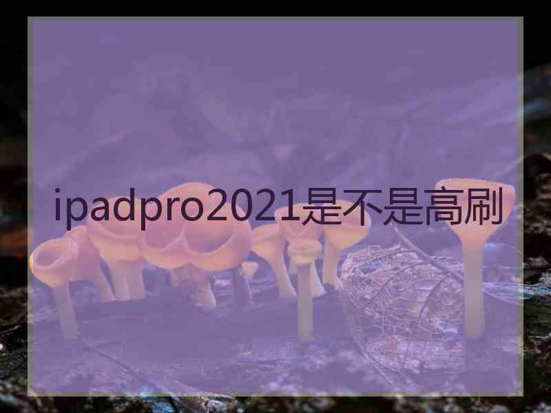 ipadpro2021是不是高刷