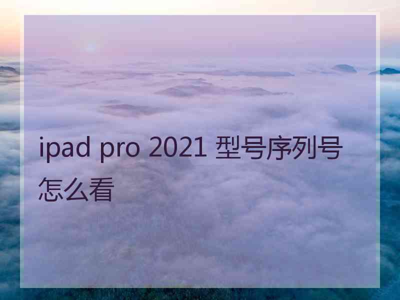 ipad pro 2021 型号序列号怎么看