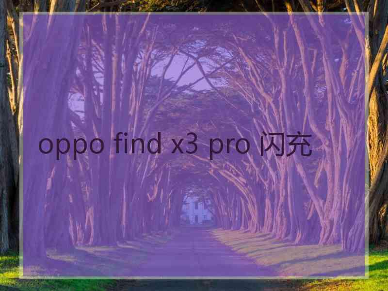 oppo find x3 pro 闪充